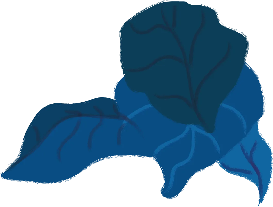 Persona de bienestar